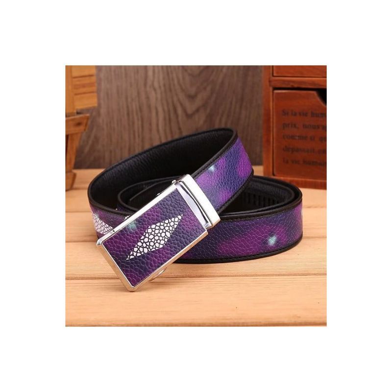 Cintos Masculinos Cinto Fashion-forward - Roxo