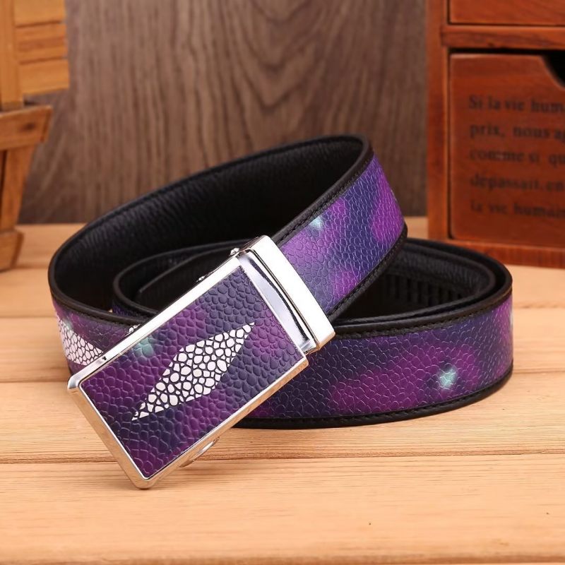 Cintos Masculinos Cinto Fashion-forward - Roxo