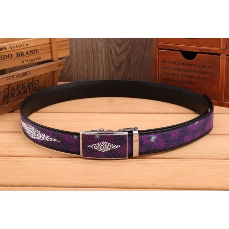 Cintos Masculinos Cinto Fashion-forward - Roxo