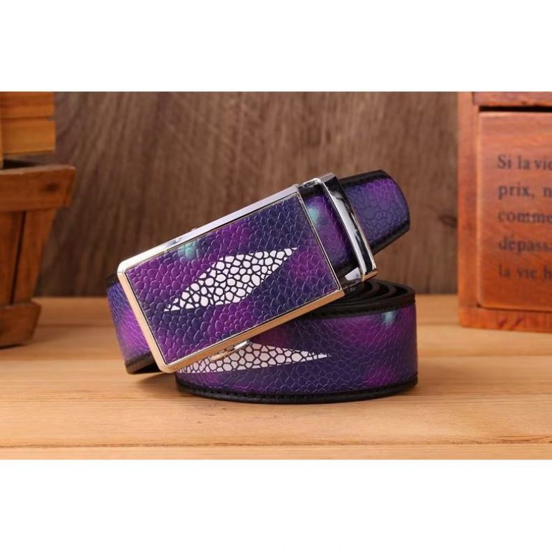 Cintos Masculinos Cinto Fashion-forward - Roxo