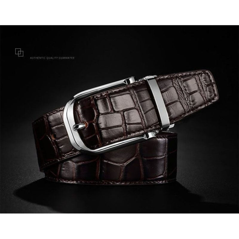 Cintos Masculinos Vintage Luxuoso Croco Couro Cinta - Café 2