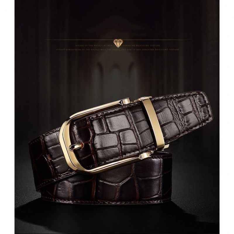 Cintos Masculinos Vintage Luxuoso Croco Couro Cinta - Café 2