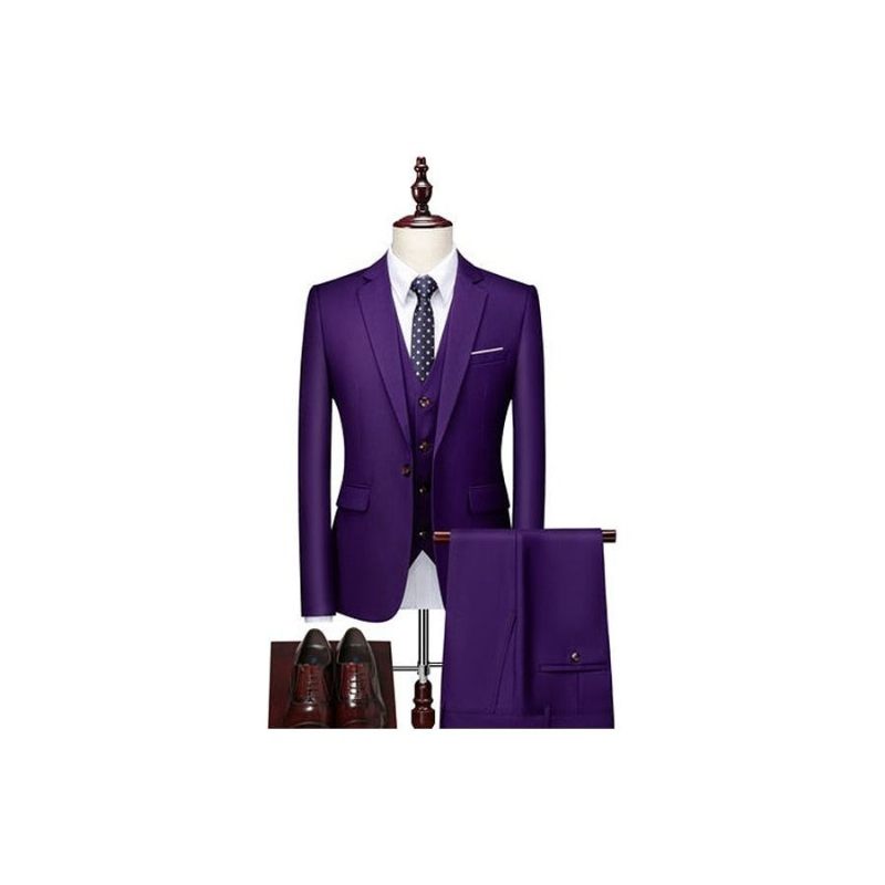 Conjunto Terno Masculino Com Calça Blazer Acetato - Roxo