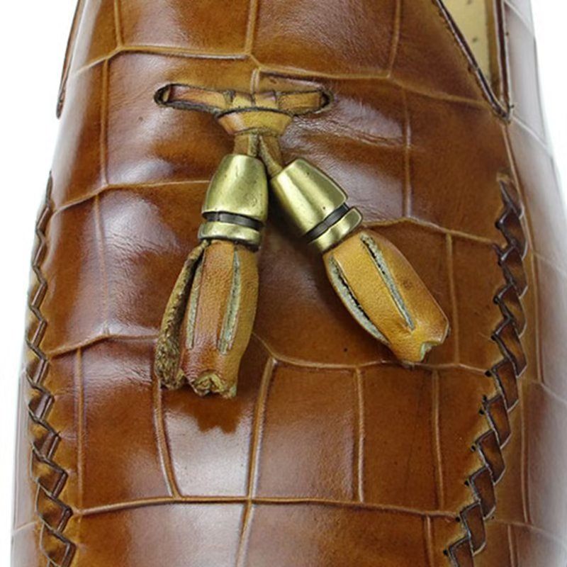 Mocassins Masculinos Com Padrão Crocodilo E Modernos - Marrom