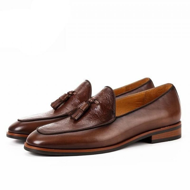 Mocassins Masculinos Exóticos Slip-on - Café