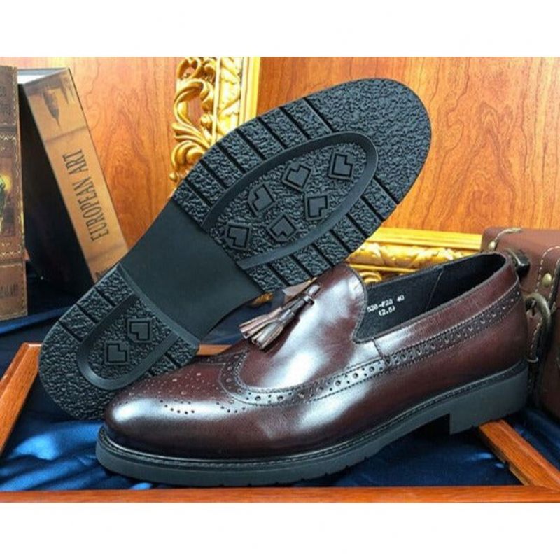 Mocassins Masculinos Exóticos Slip-on Brogue - Café