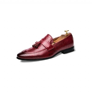 Mocassins Masculinos Luxuosos Croctassel Oxford Exóticos