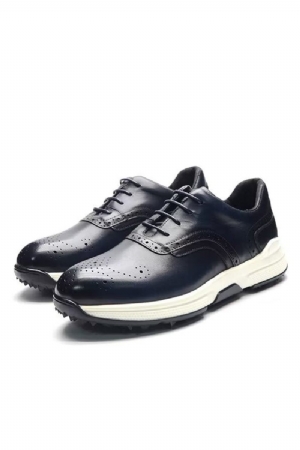 Sapatos Casuais Masculinos Conforto Moderno Couro