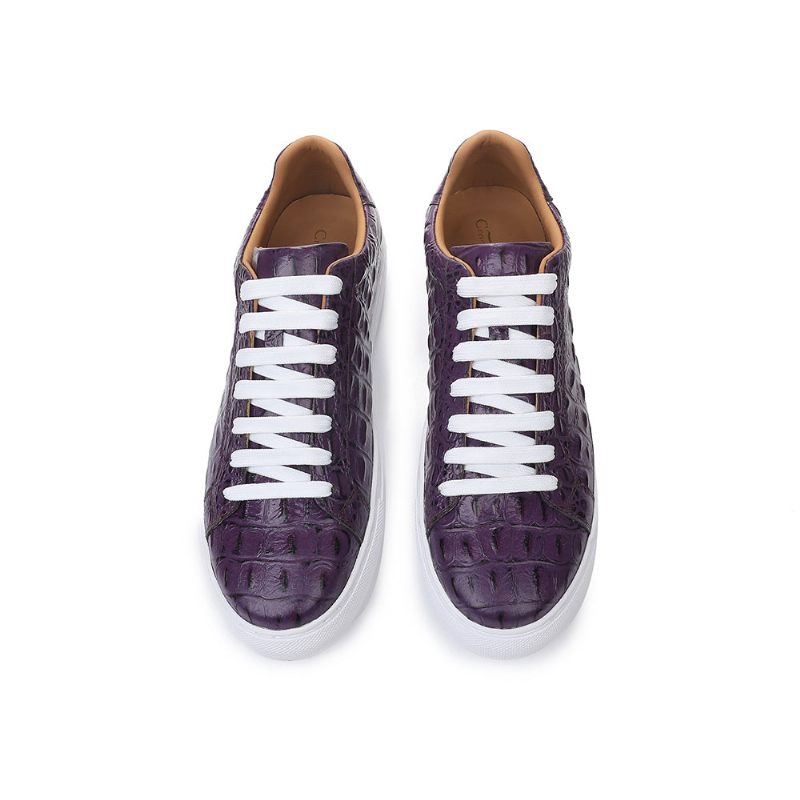 Sapatos Casuais Masculinos Exóticos Com Cadarços - Roxo