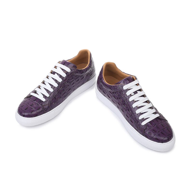 Sapatos Casuais Masculinos Exóticos Com Cadarços - Roxo