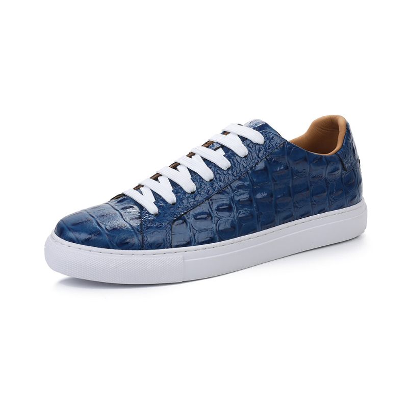 Sapatos Casuais Masculinos Exóticos Com Cadarços - Azul