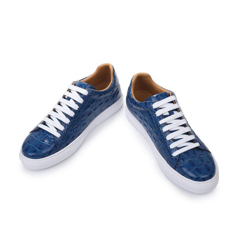 Sapatos Casuais Masculinos Exóticos Com Cadarços - Azul