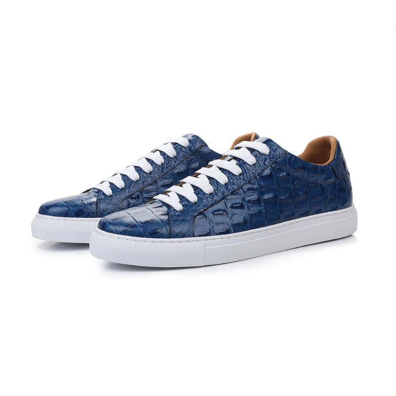 Sapatos Casuais Masculinos Exóticos Com Cadarços - Azul