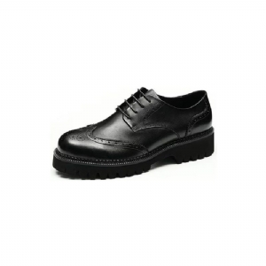 Sapatos Formais Masculino Vestido Couro Majestic