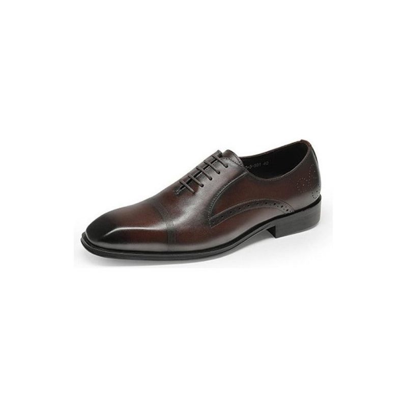 Sapatos Formais Masculinos Bico Fino Brogue - Café