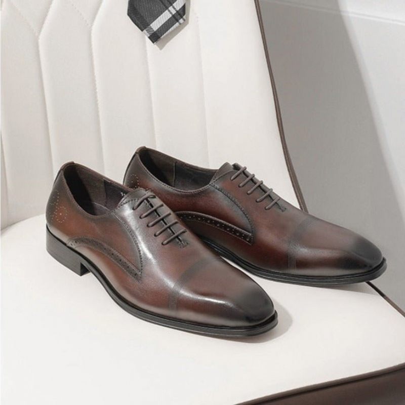 Sapatos Formais Masculinos Bico Fino Brogue - Café