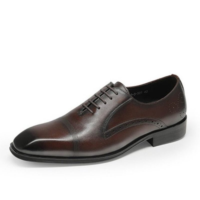 Sapatos Formais Masculinos Bico Fino Brogue - Café