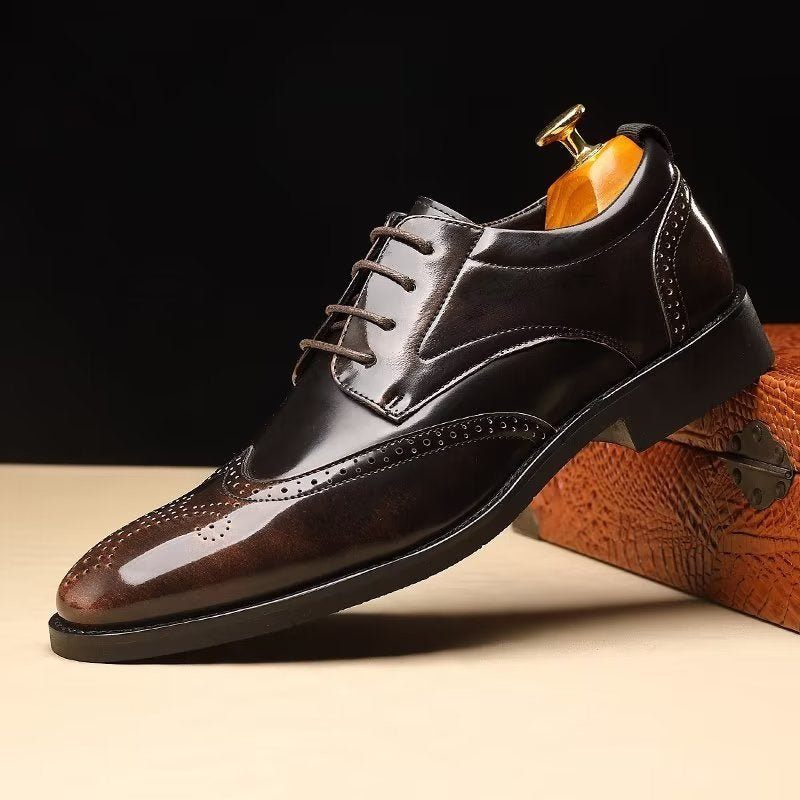 Sapatos Formais Masculinos Bico Fino Sociais Derby - Café