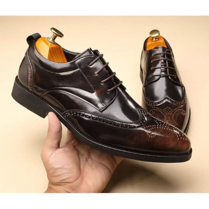 Sapatos Formais Masculinos Bico Fino Sociais Derby - Café