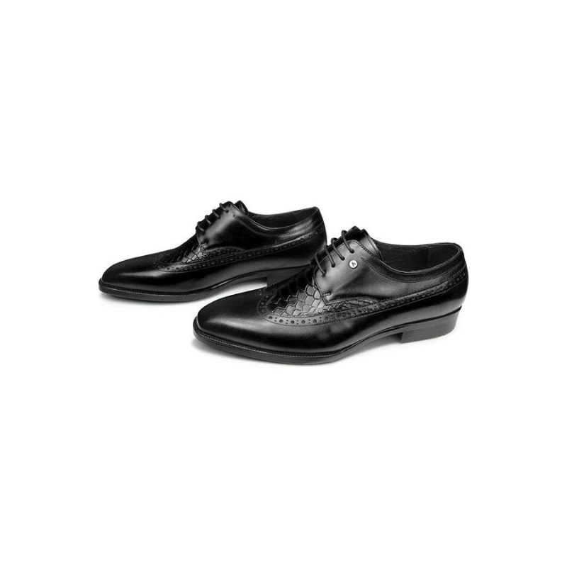 Sapatos Formais Masculinos Bico Fino Sociais Exóticos Derby - Preto