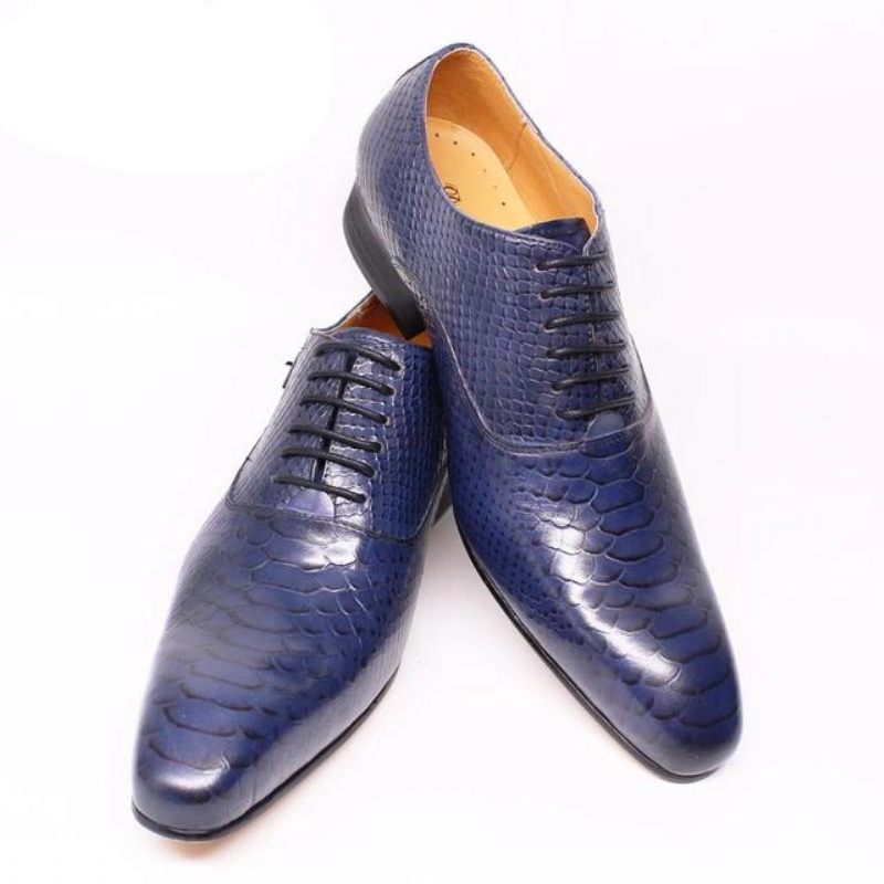 Sapatos Formais Masculinos Borgonha Serpente Lace-up Oxford Sociais -  Azul