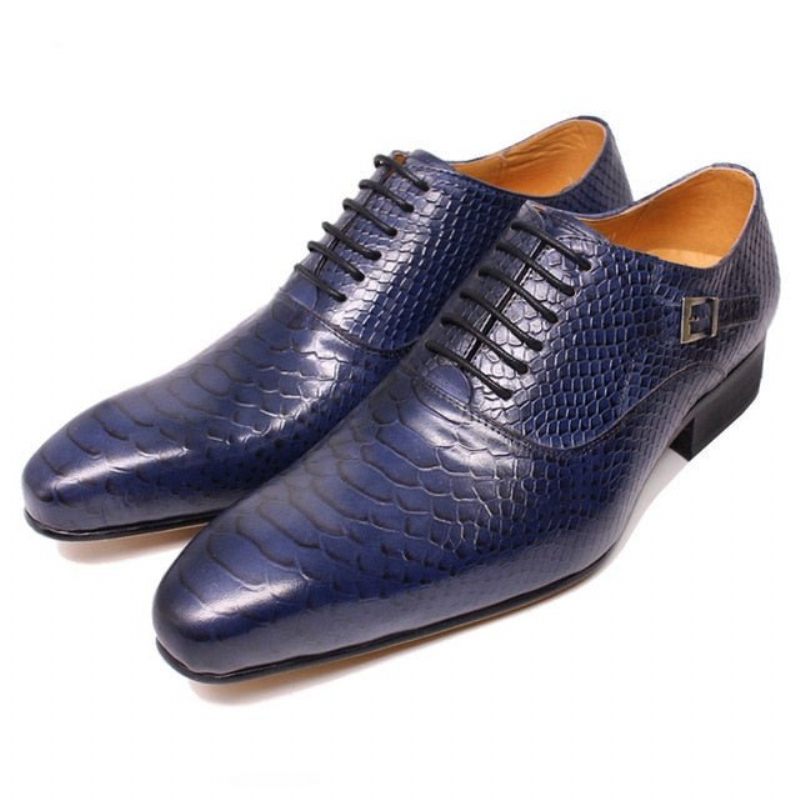 Sapatos Formais Masculinos Borgonha Serpente Lace-up Oxford Sociais -  Azul