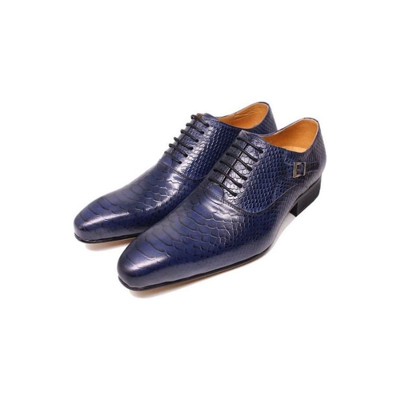 Sapatos Formais Masculinos Borgonha Serpente Lace-up Oxford Sociais -  Azul