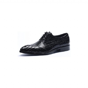 Sapatos Formais Masculinos Brogue