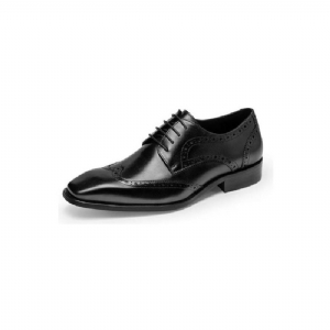 Sapatos Formais Masculinos Brogue