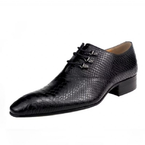 Sapatos Formais Masculinos Brogues Casamento