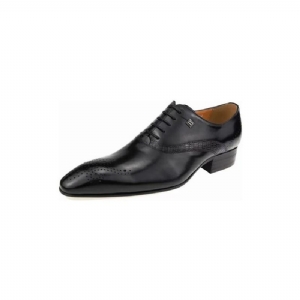 Sapatos Formais Masculinos Brogues Casamento Modernos