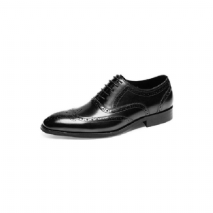 Sapatos Formais Masculinos Brogues Couro Com Cordões