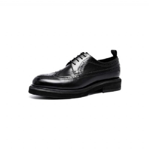 Sapatos Formais Masculinos Brogues Couro Genuíno Com Cordões