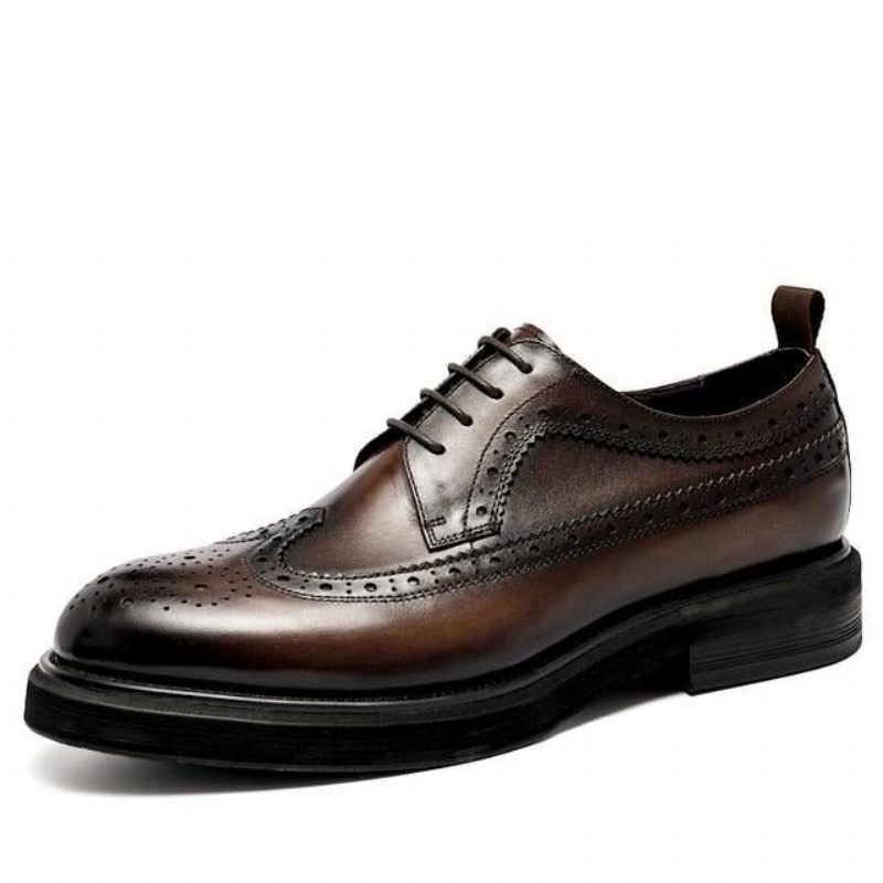 Sapatos Formais Masculinos Brogues Couro Genuíno Com Cordões - Café