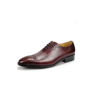 Sapatos Formais Masculinos Casamento Chiques Couro Brogue