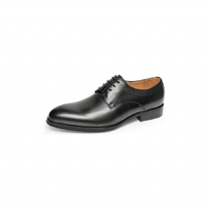 Sapatos Formais Masculinos Casamento Luxo Couro Exótico Apontou Oxfords