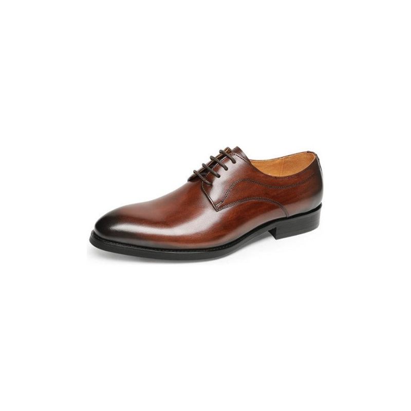 Sapatos Formais Masculinos Casamento Luxo Couro Exótico Apontou Oxfords - Café