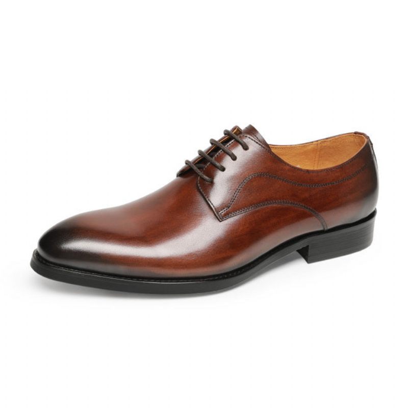 Sapatos Formais Masculinos Casamento Luxo Couro Exótico Apontou Oxfords - Café