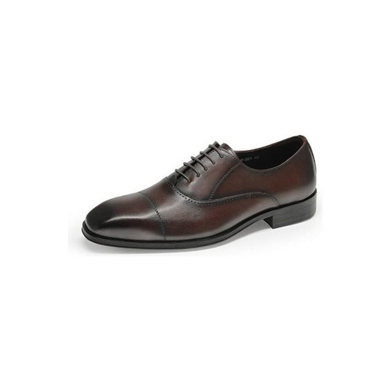 Sapatos Formais Masculinos Com Bico Fino Oxford - Café