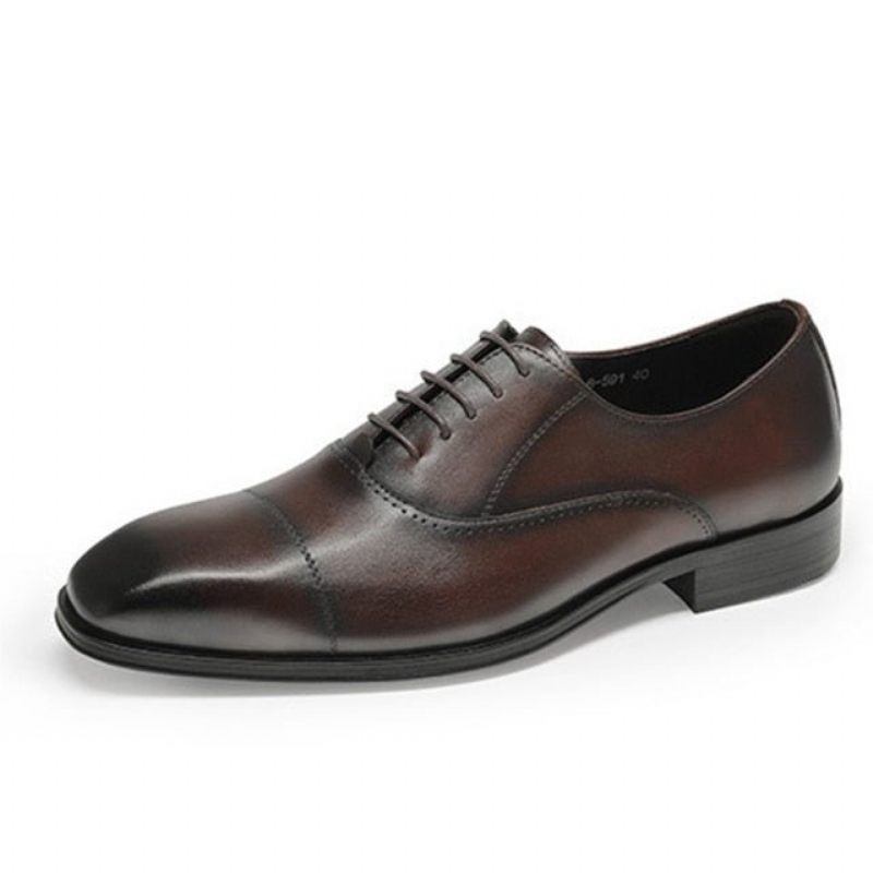 Sapatos Formais Masculinos Com Bico Fino Oxford - Café