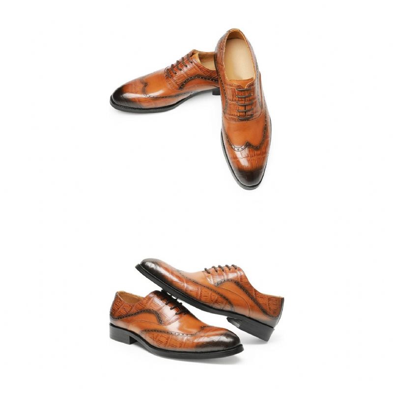 Sapatos Formais Masculinos Com Cadarço E Padrão Jacaré Pontiagudo Oxford - Marrom