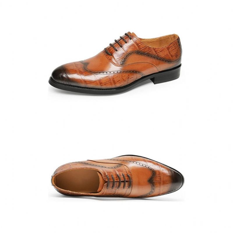 Sapatos Formais Masculinos Com Cadarço E Padrão Jacaré Pontiagudo Oxford - Marrom