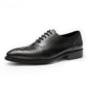 Sapatos Formais Masculinos Com Padrão Exótico Em Renda Brogue