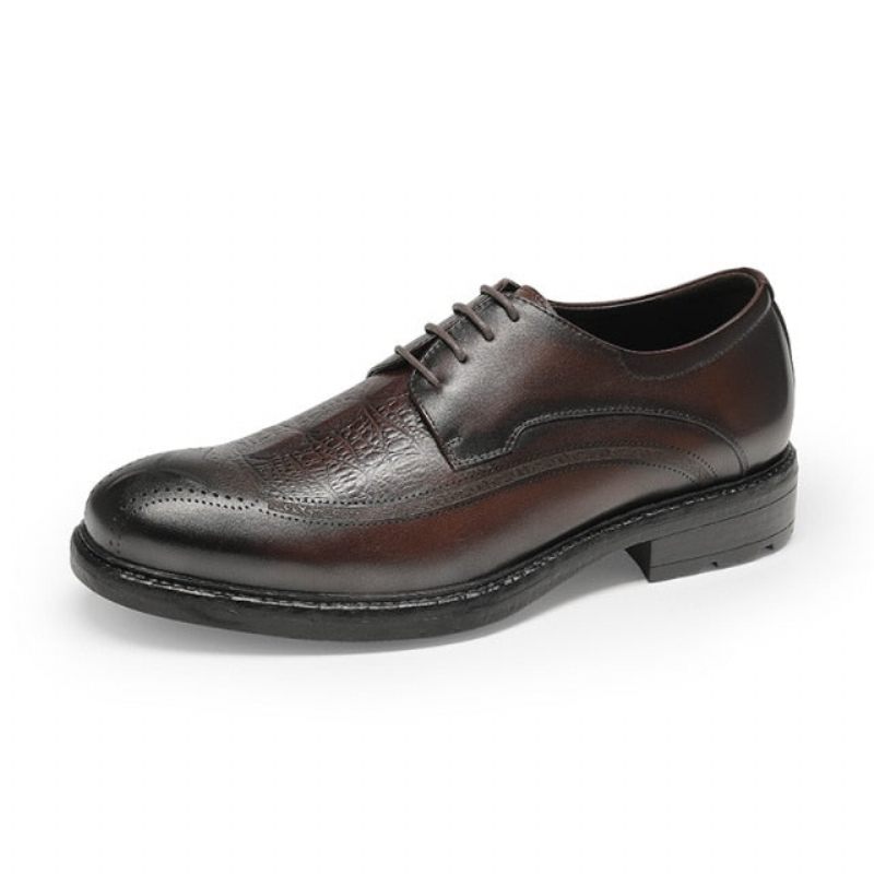 Sapatos Formais Masculinos Com Padrão Exótico Oxford Cordões - Café