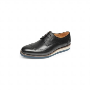 Sapatos Formais Masculinos Com Textura Exótica Wingtip Oxford Casuais