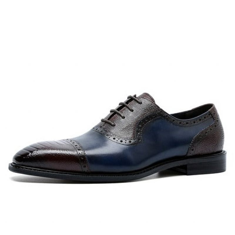 Sapatos Formais Masculinos Couro Com Bico Fino Oxford - Azul