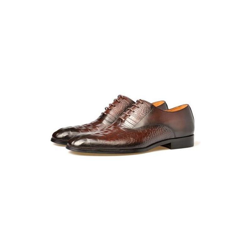 Sapatos Formais Masculinos Couro Esculpido Exótico Brogue - Café