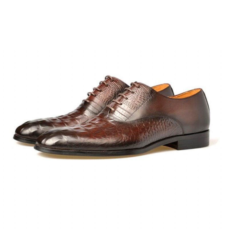 Sapatos Formais Masculinos Couro Esculpido Exótico Brogue - Café