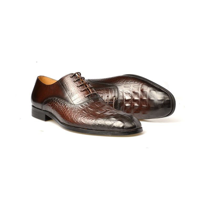 Sapatos Formais Masculinos Couro Esculpido Exótico Brogue - Café