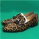 Leopardo